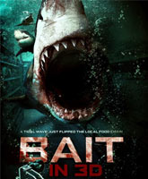 Bait / 